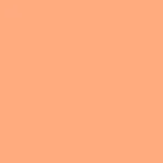 COPPER NUDE