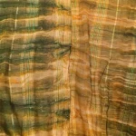 SHARONA-57 GREEN 2